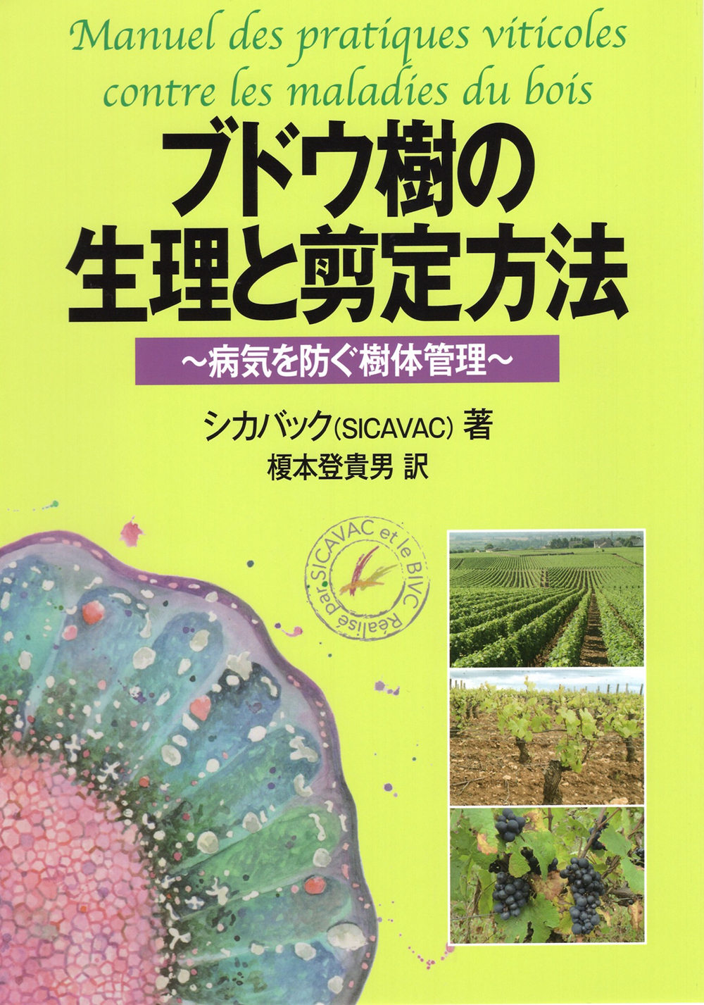「ブドウ樹の生理と剪定方法／著者：SICAVAC、訳：榎本登貴男（創森社）」画像